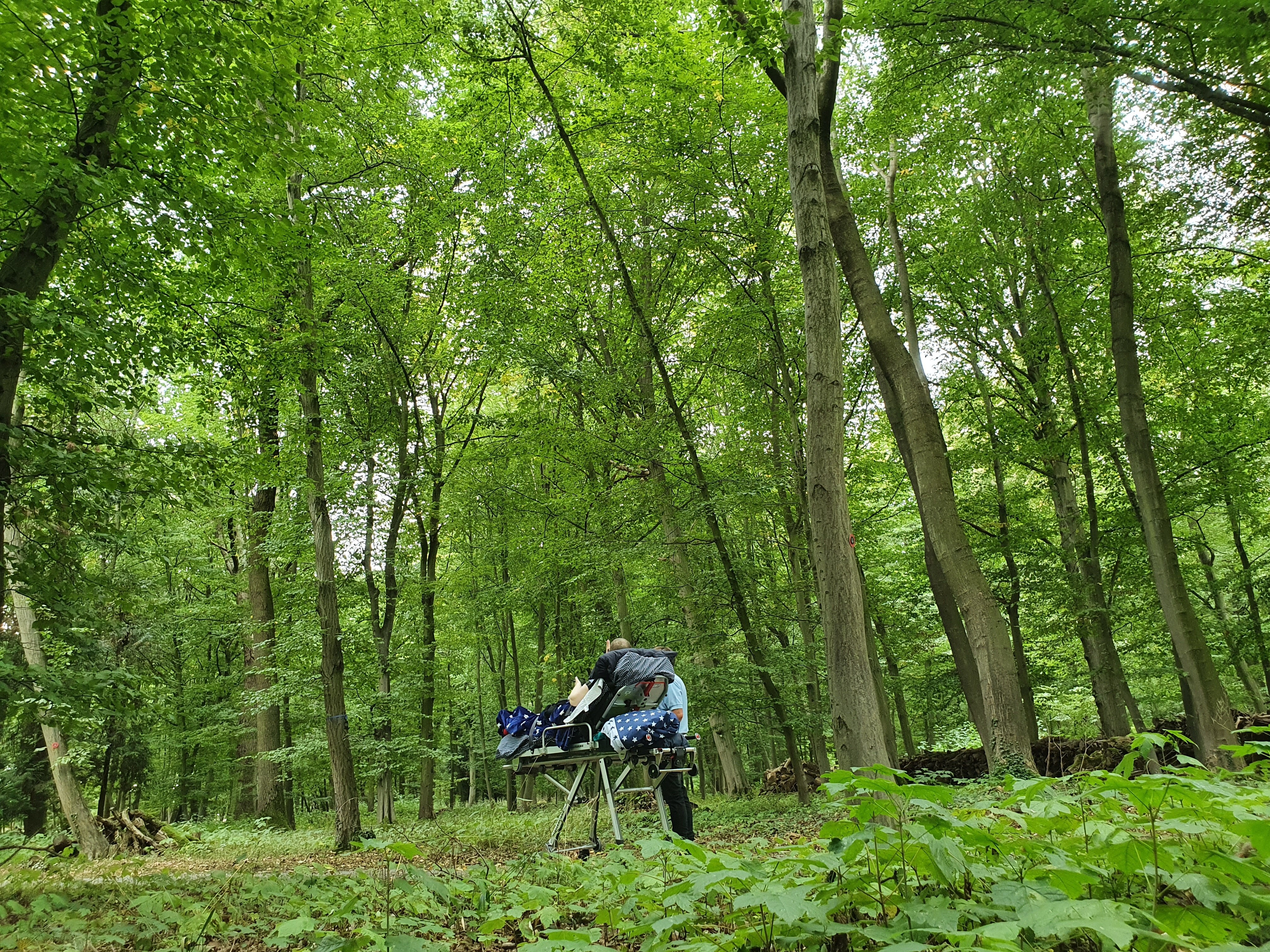 Manu findet ihren Baum